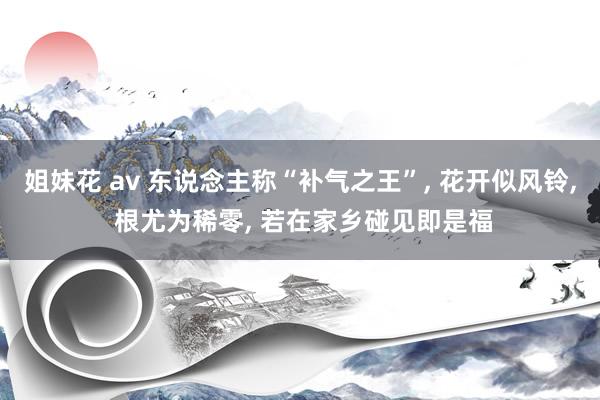 姐妹花 av 东说念主称“补气之王”, 花开似风铃, 根尤为稀零, 若在家乡碰见即是福