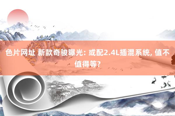 色片网址 新款奇骏曝光: 或配2.4L插混系统, 值不值得等?