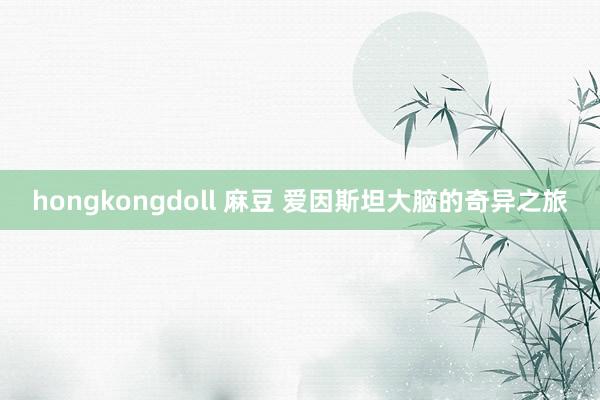 hongkongdoll 麻豆 爱因斯坦大脑的奇异之旅